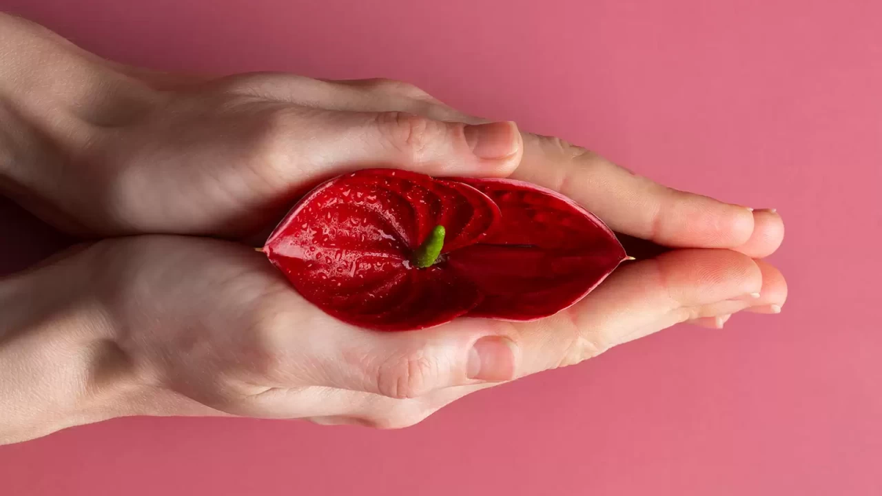 девственная плева Правда и мифы о девственности | Журнал Интроверта